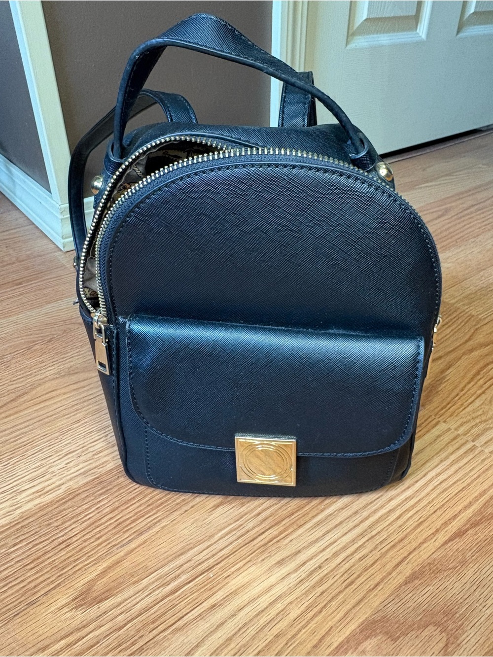 Black Mini Backpack with Gold Hardware